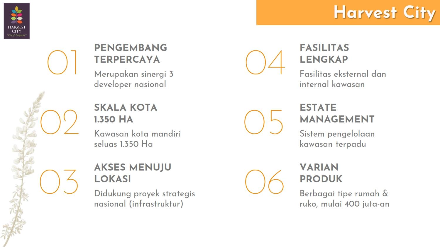 Keunggulan Cluster Sweet Alba - Harvest City